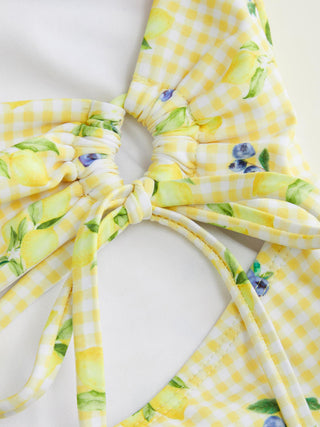 Sweetheart Gingham & Fruit Graphic Cut Out One Piece Swimsuit