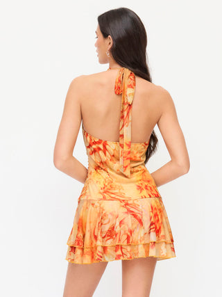 Mesh Mesh Abstract Halter Neckline Ruffled Low Rise A-line Mini Dress For Music Festival/Live House Vacation
