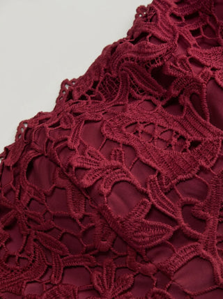 Lace Strapless Bowknot Flared Mini dress