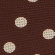 Mesh Polka Dot Short Sleeve Ruched A-line Mini Dress