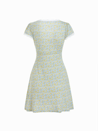 Ditsy Floral V-neck Lace Trim High Rise A-line Mini Dress