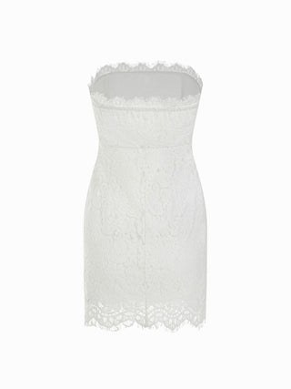 Lace Cotton-blend Bandeau Bodycon Mini Dress With Scarf