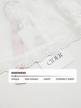 Eyelet V-neck Lace Trim Short Sleeve Blouse