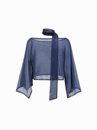 Sheer Glitter Chiffon Boat Neck Top with Scarf
