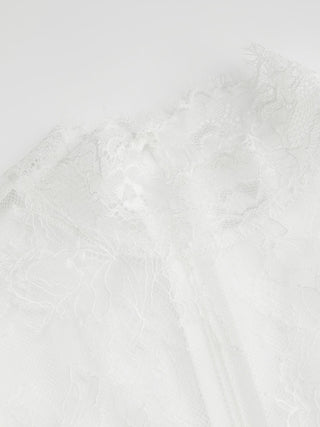 Lace Round Neckline A-line Mini Dress