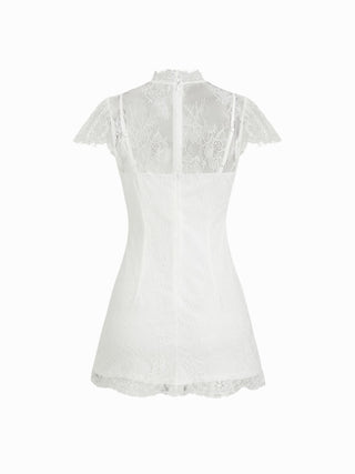 Lace Round Neckline A-line Mini Dress