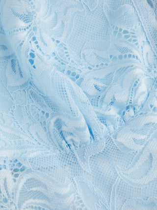 Lace Sheer Boat Neck Top