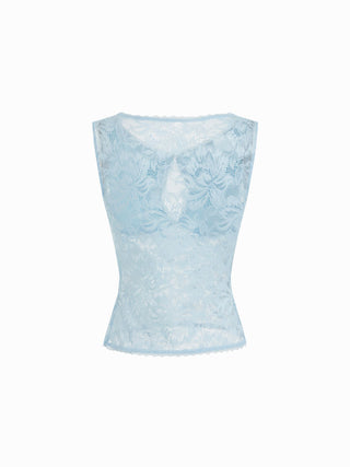 Lace Sheer Boat Neck Top