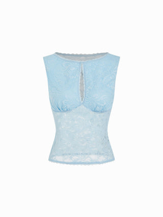 Lace Sheer Boat Neck Top