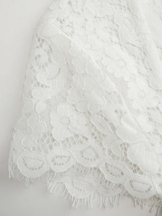 Cotton-blend Lace Scoop Neckline Short Sleeve Top