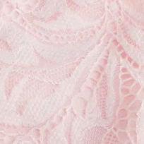 Lace Sheer Boat Neck Top