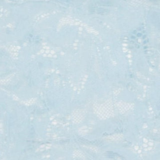 Lace Sheer Boat Neck Top