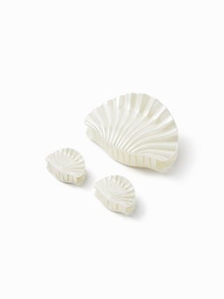 3PCS SHELL HAIR CLAW