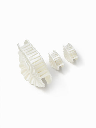 3PCS SHELL HAIR CLAW