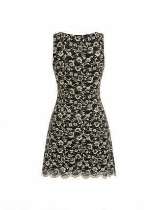 Flocking Lace V-neck A-line Mini Dress