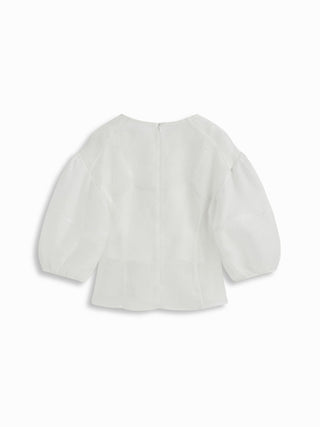 Mesh See-through Puff Sleeve Oversized Blouse