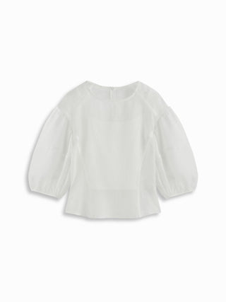 Mesh See-through Puff Sleeve Oversized Blouse
