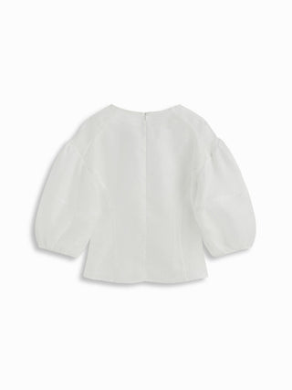 Mesh See-through Puff Sleeve Oversized Blouse