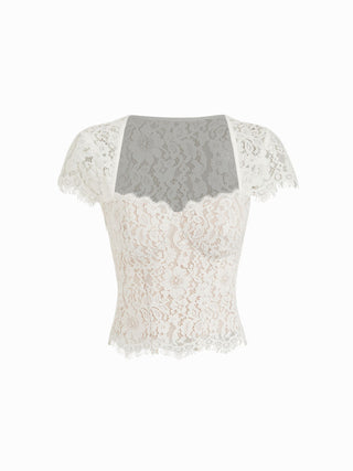 Cotton-blend Lace Scoop Neckline Short Sleeve Top