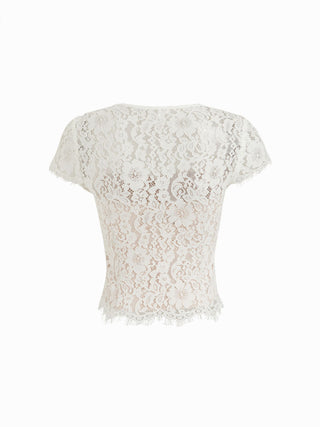 Cotton-blend Lace Scoop Neckline Short Sleeve Top
