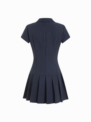Striped Pleated Zip Up A-line Mini Dress