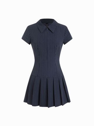 Striped Pleated Zip Up A-line Mini Dress