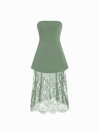 Strapless Lace Panel A-line Maxi Dress