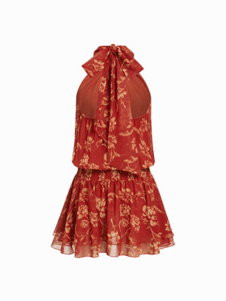 Chiffon Paisley Halter Neckline Shirred Layered Mini Dress