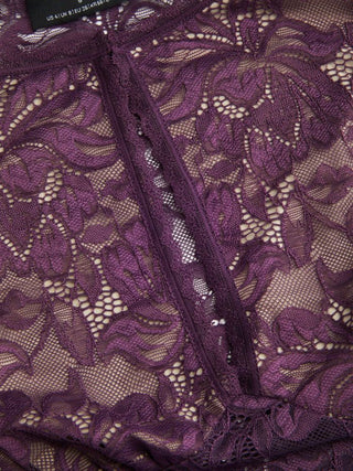Lace Sheer Boat Neck Top