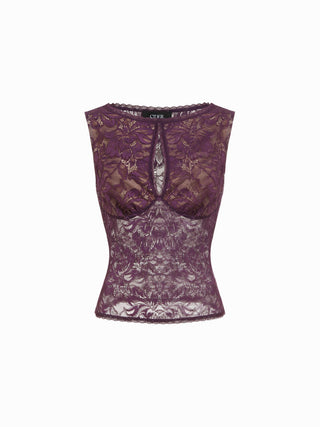 Lace Sheer Boat Neck Top