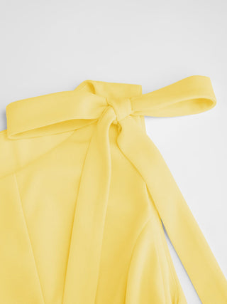 Bowknot Boat Neck Sleeveless Pleated Flared Mini Dress