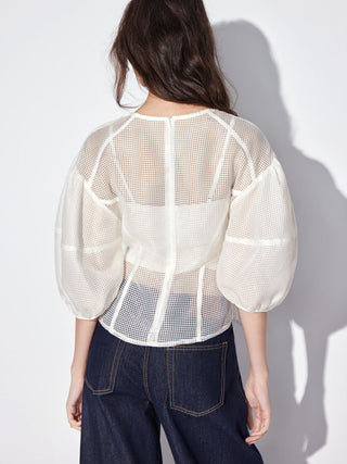 Mesh See-through Puff Sleeve Oversized Blouse
