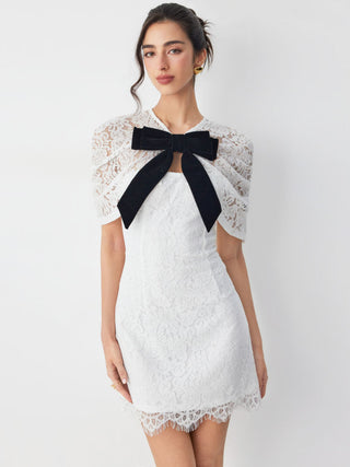 Cotton-blend Lace V-neck Bowknot A-line Mini Dress