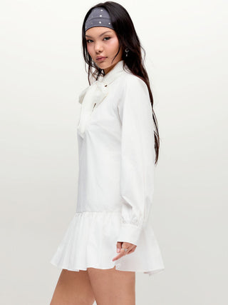 Cotton Stand Collar Lantern Sleeve Bowknot A-line Oversized Mini Dress