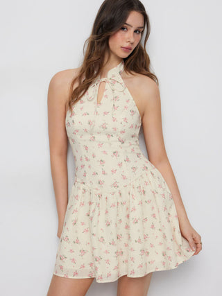 Ditsy Floral Graphic Stand Collar Cut Out Bowknot Flared Mini Dress