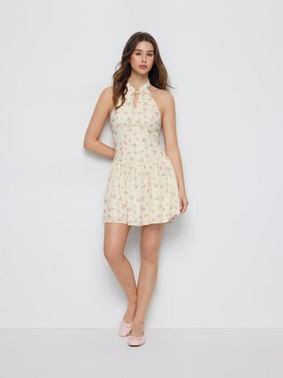 Ditsy Floral Graphic Stand Collar Cut Out Bowknot Flared Mini Dress