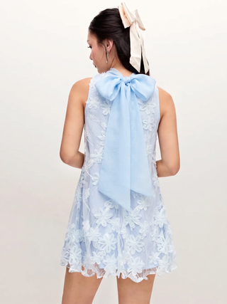 Floral Stand Collar Bowknot A-line Mini Dress