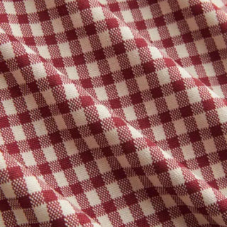 Gingham V-neck Short Sleeve Ruched Lace Trim A-line Mini Dress