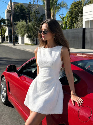 Boat Neck Sleeveless Lace A Line Mini Dress