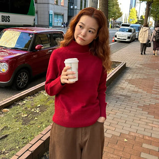 Soft turtleneck knit