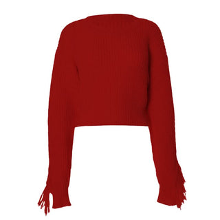 Long sleeve crewneck tassels knitted top