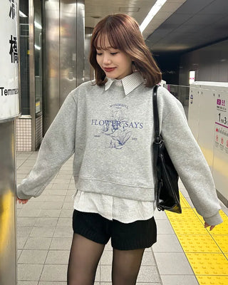 Striped shirt & sweatshirt set