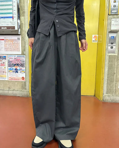Center seam pleated slacks