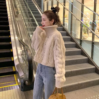Cable Cropped Turtleneck Knit