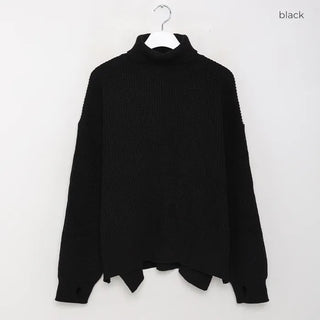 Warmer turtleneck knit