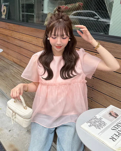 Organza ruffle balloon sleeve blouse