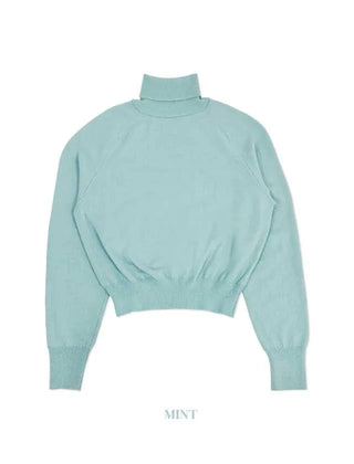 Mond Wool Turtleneck Knit (Mint)