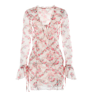 Long sleeve v neck flower print mesh mini dress