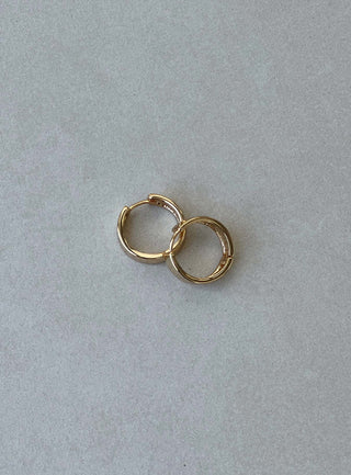 Archo Gold Plated Earrings