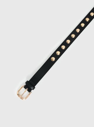 Projecting Belt Black  Gold